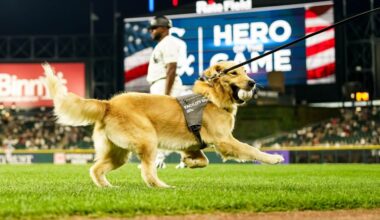 The White Sox stretch their losing streak to four