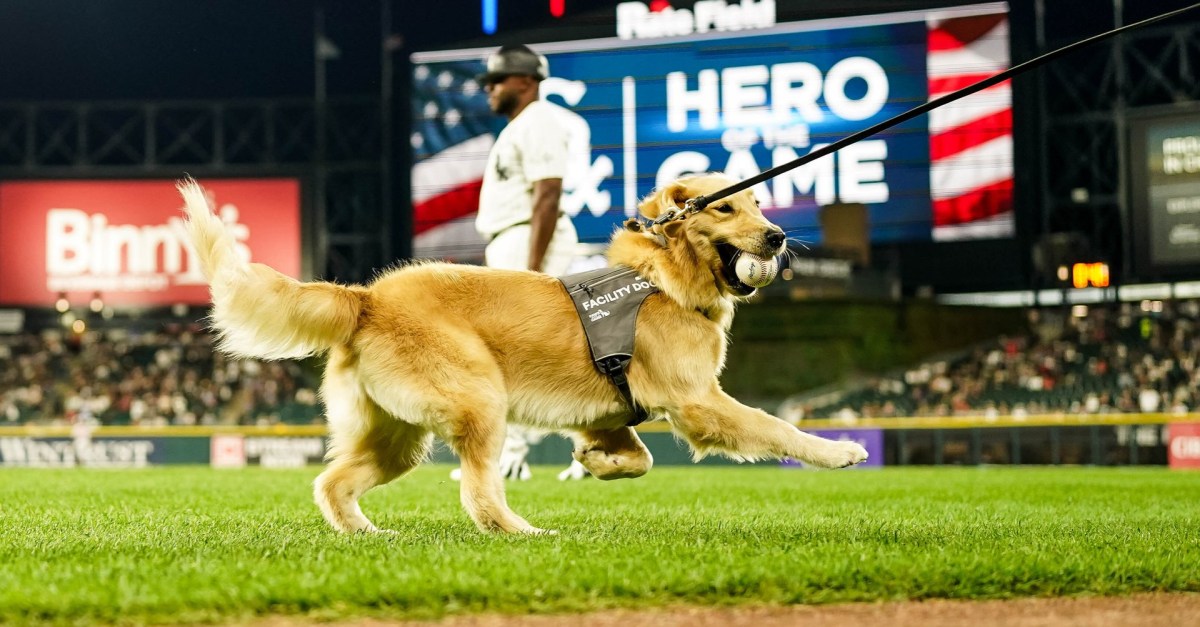The White Sox stretch their losing streak to four