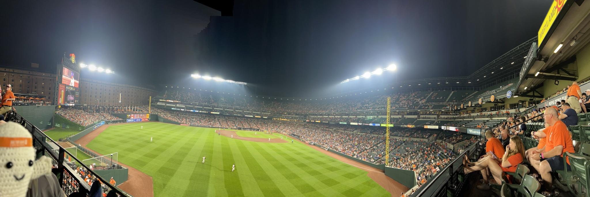 Cool picture? Yes. Great view of the game? Not so much.