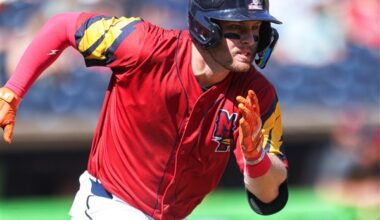 Mud Hens top Cubs in weather-shortened affair