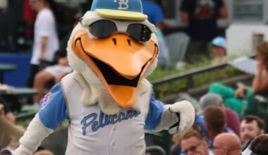 Myrtle Beach Pelicans Playoff Series Preview: Blistering Second Half Portends Postseason Success - Minor Leagues