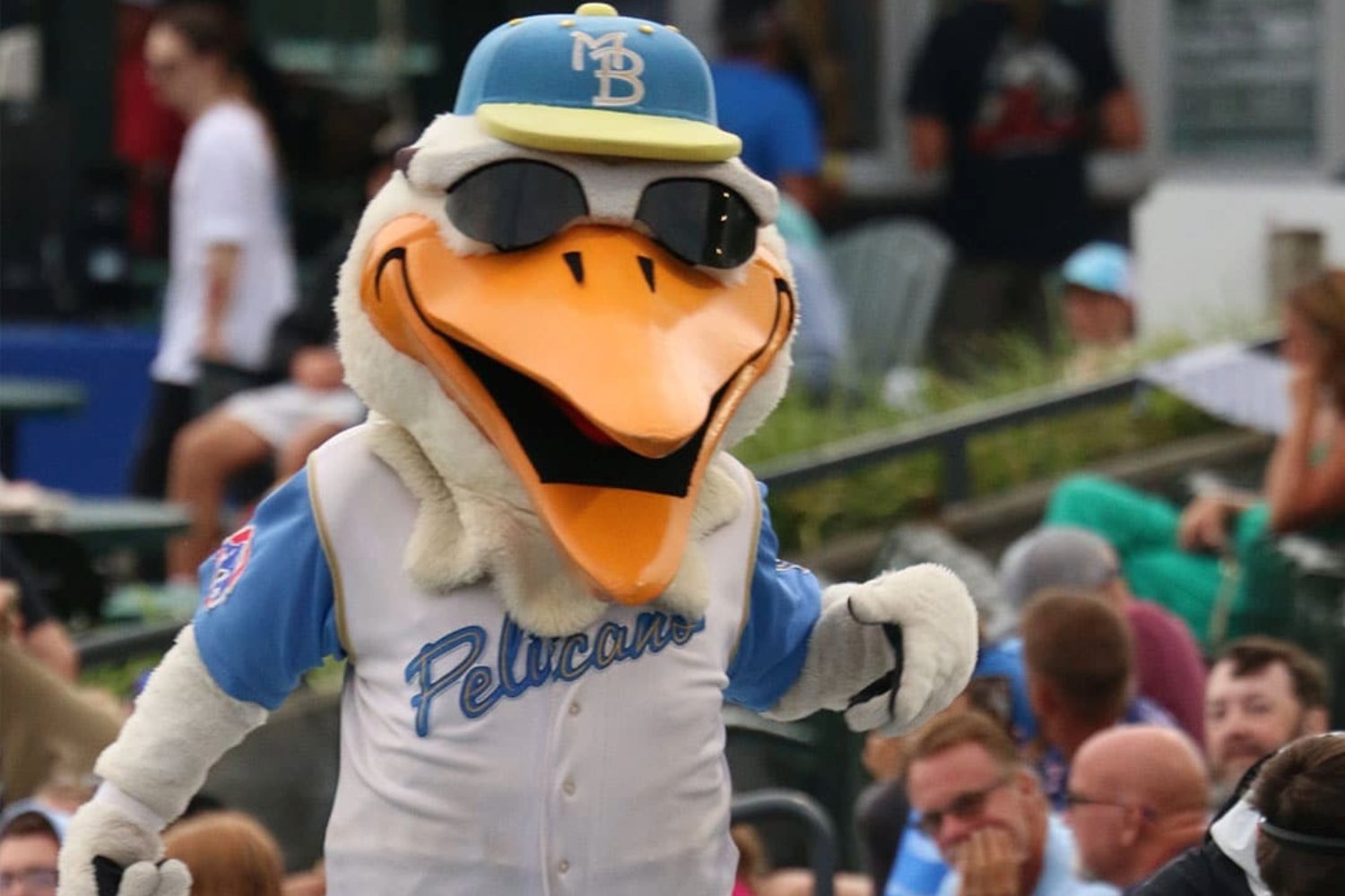 Myrtle Beach Pelicans Playoff Series Preview: Blistering Second Half Portends Postseason Success - Minor Leagues