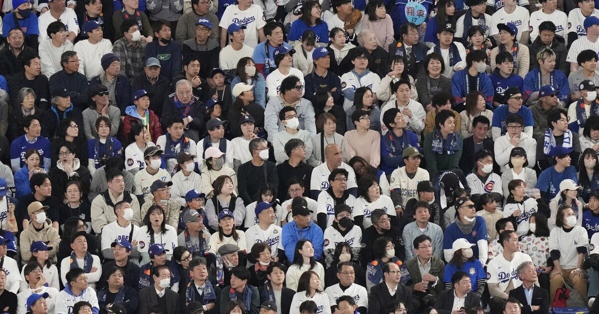 Japanese baseball looks about the same, but the food and the vibe is different