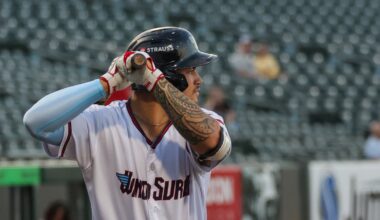 Minnesota Twins Minor League Hitters of the Month - August 2025 - Minor Leagues