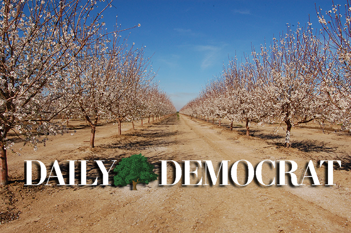 dailydemocrat default image