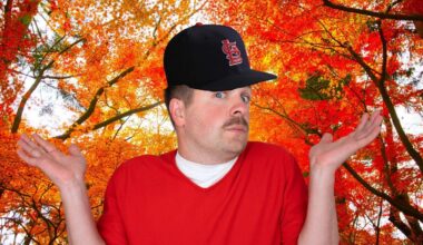 Ex-Players and Wainwright Shows Await