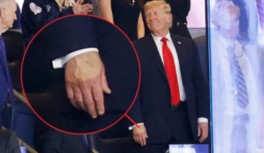 Yahoo entertainment home