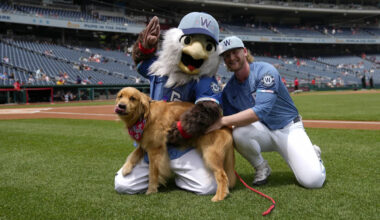 Download app from appStore