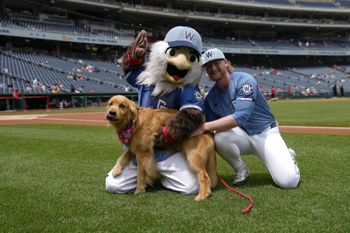 Download app from appStore