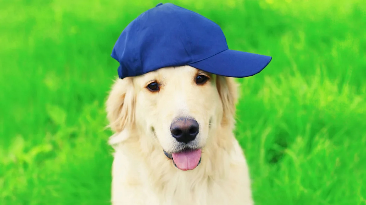 Yahoo lifestyle home