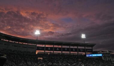 MLB owners approve sale of Tampa Bay Rays to group headed by Patrick Zalupski