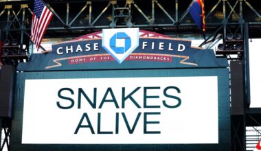 Playoff Possibilities Primer | AZ Snake Pit