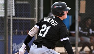 White Sox Minor League All-Stars of 2025