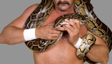 Game 149: Diamondbacks at Twins