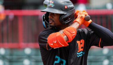 Orioles minors: Bradfield promoted, young pitchers step up