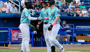 Brewers 2025 Minor League Season Roundup