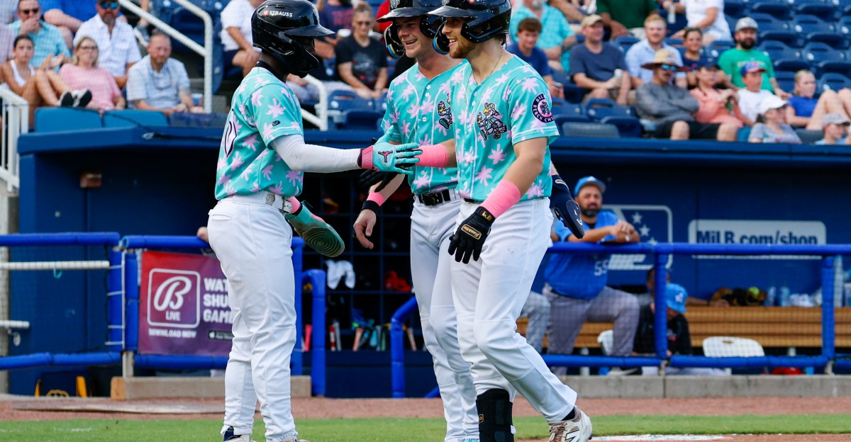 Brewers 2025 Minor League Season Roundup