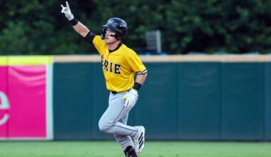 Baseball America ranks Tigers farm system among top in the league