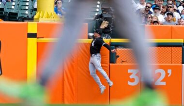 White Sox 6, Tigers 4: Robertson and Sosa key late comeback