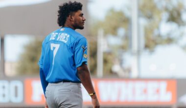 Elephant Rumblings: De Vries raking, and AFL roster set