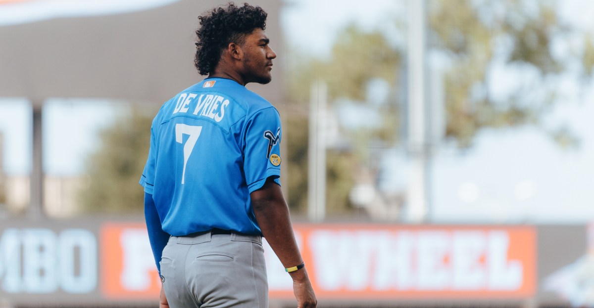 Elephant Rumblings: De Vries raking, and AFL roster set