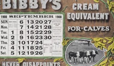 Gameday Thread, #139: 9/1 vs. Rangers - AZ Snake Pit