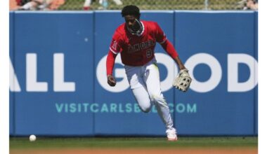 Angels minor-leaguer Rio Foster in critical condition after car accident – Orange County Register