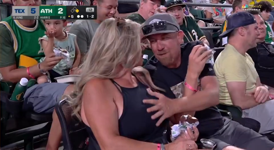 Man grabbing woman's breast at baseball game.