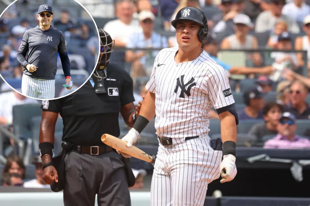 Aaron Boone seems resigned to Yankees' Anthony Volpe reality