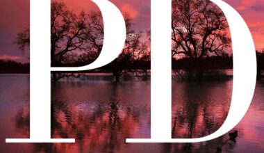 Former MLB star Mark Teixeira announces bid for US House seat in Texas – The Press Democrat