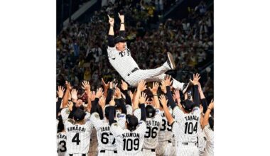 Hanshin Tigers Win Central League Championship for First Time in Two Years