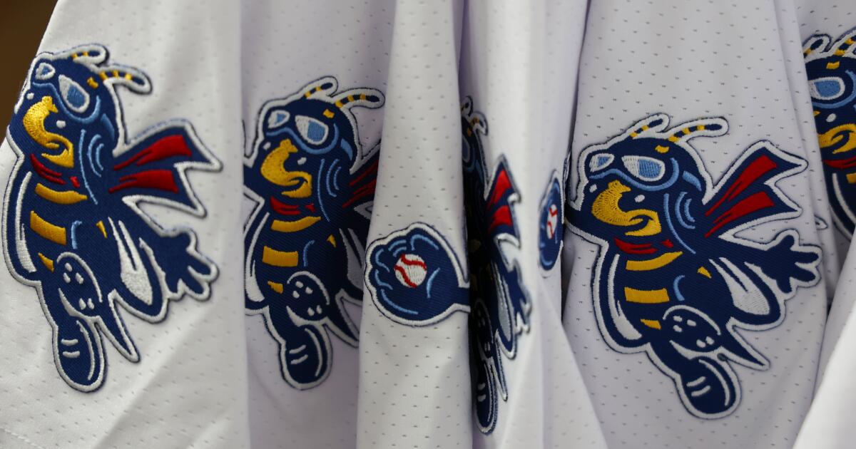 How Dodgers’ new minor league team in Ontario came up with its name