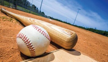 Amateur Baseball: Nisswa 1 win away from state glory - Brainerd Dispatch