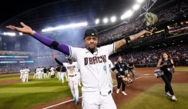 The Diamondbacks Window | AZ Snake Pit