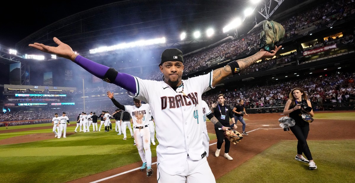 The Diamondbacks Window | AZ Snake Pit