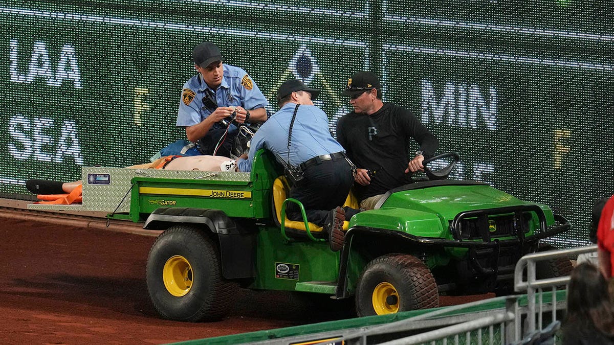 Fan on a medical cart