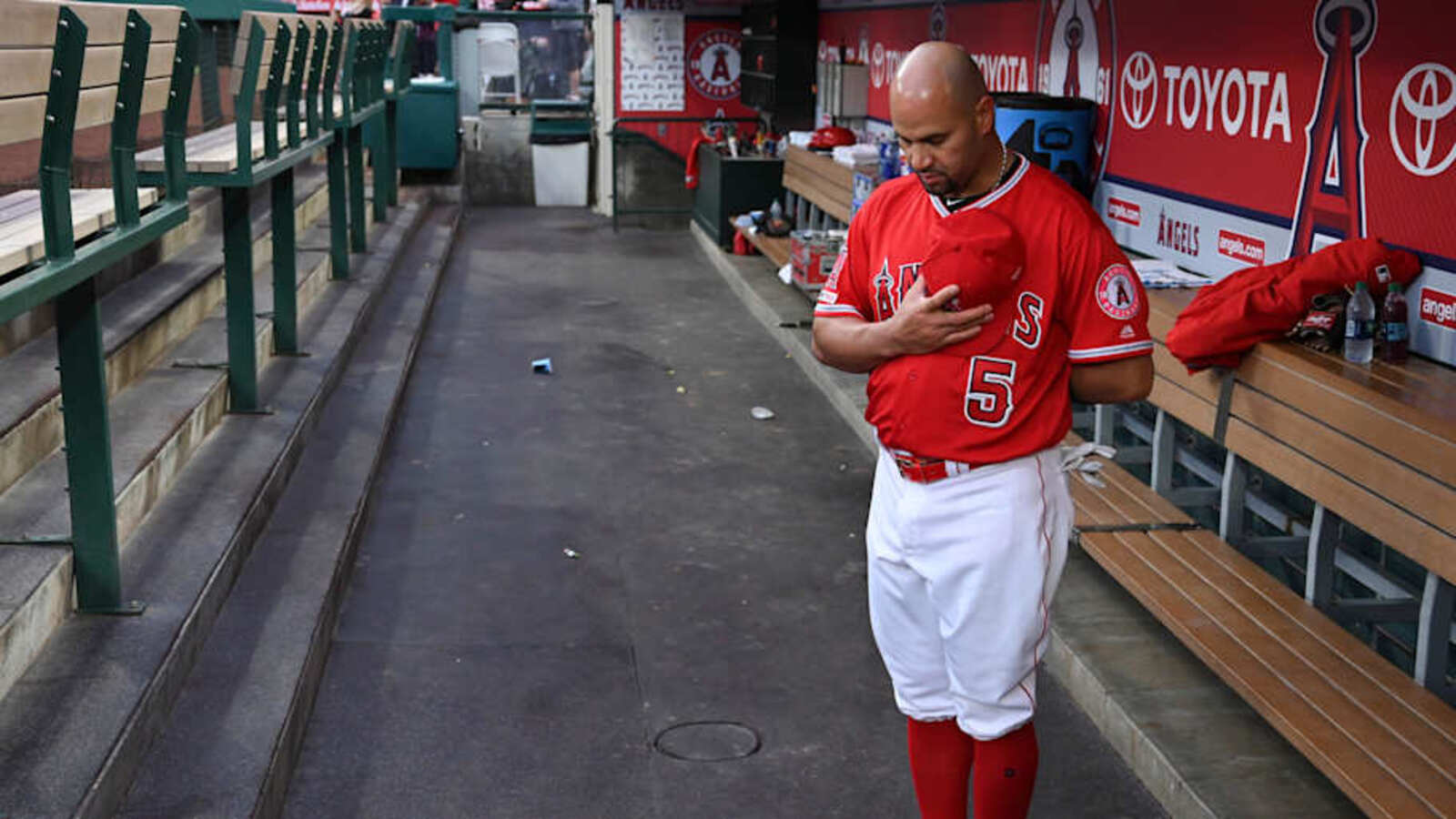 Angels Have Changed Course on Managerial Search: Report