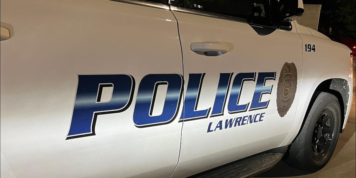 Police tase man walking with baseball bat on K-10