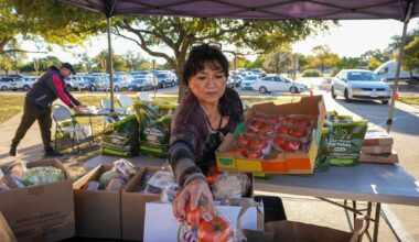 AISD baseball, softball programs to hold family fundraiser