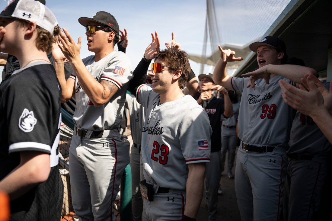 Northeastern baseball players cheer and celebrate in the dugout after taking an early lead against the Red Sox in their spring training game.