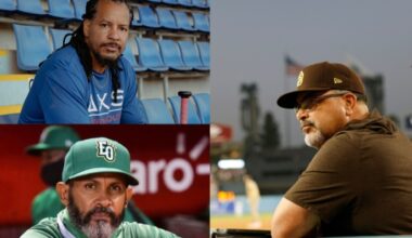 A New Voice or A Refined Approach?