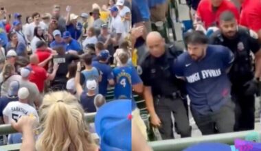Disgusting Chicago Cubs Fan Punches Child, Gets Dragged Out In Handcuffs By Police During Chaotic Brawl at Playoff Game [VIDEO]