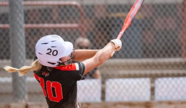 Tigers riding high into state softball tournament | Sports