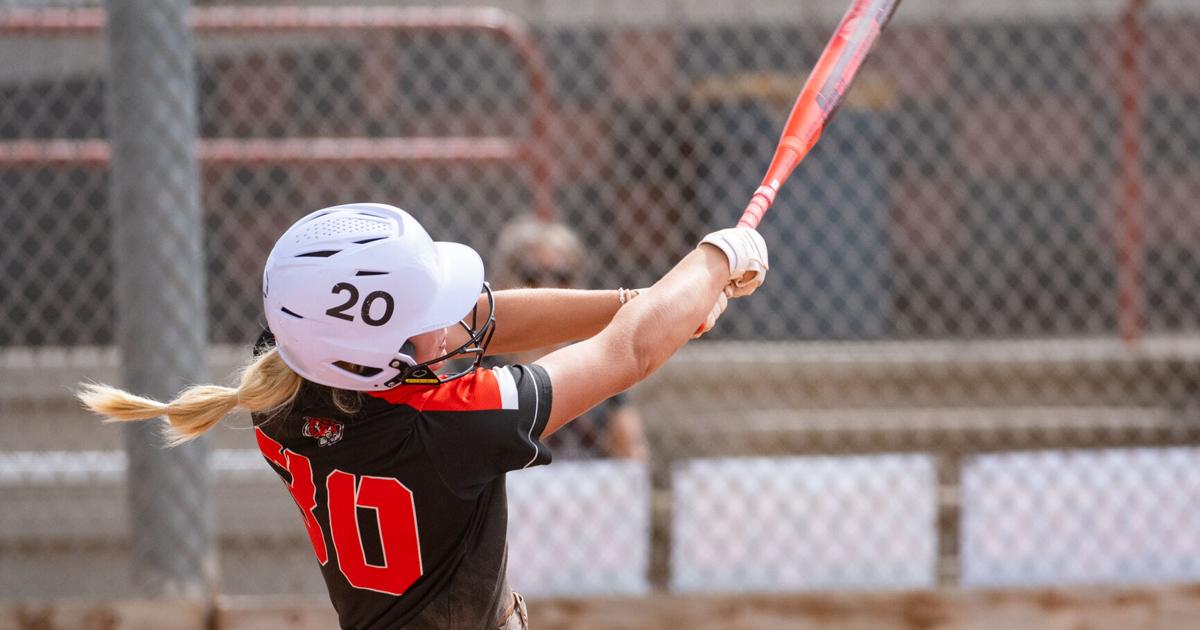 Tigers riding high into state softball tournament | Sports