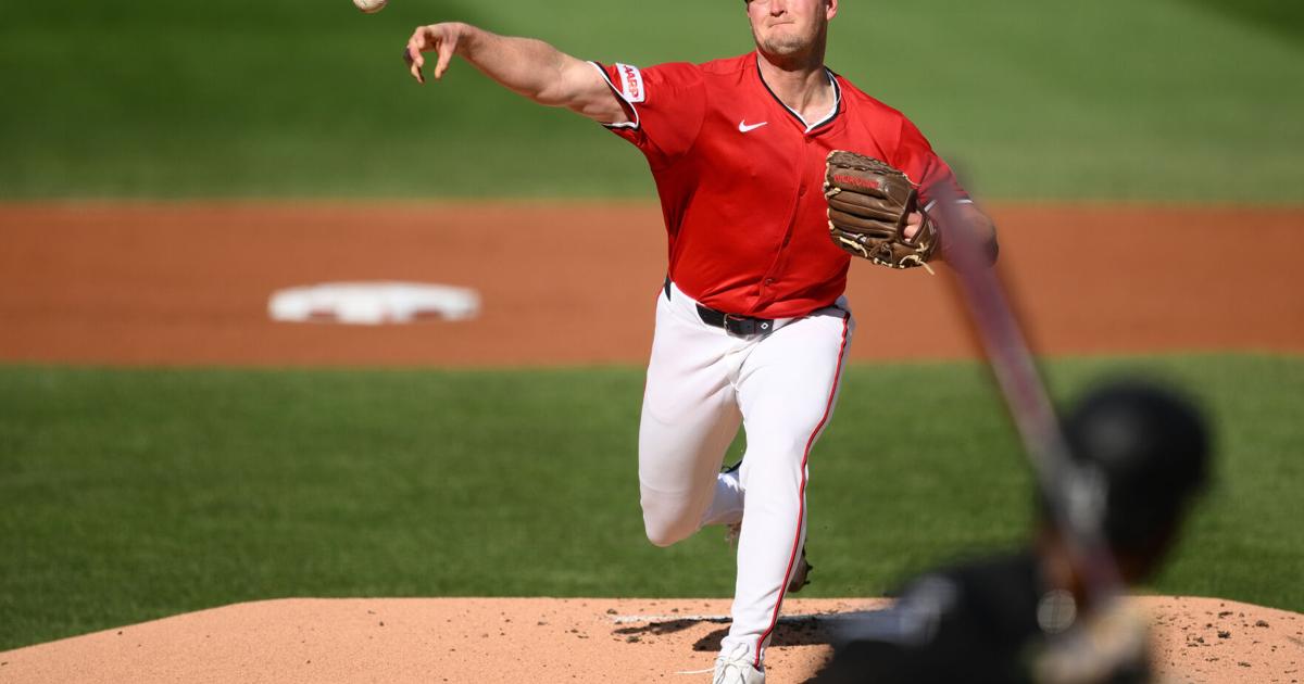 Shane Smith give up one hit in six innings as White Sox rout Nationals, 8-0 | National Sports