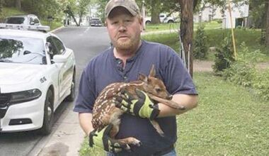 The ‘Joe Mauer of Mahtomedi’ marks 3 decades | News