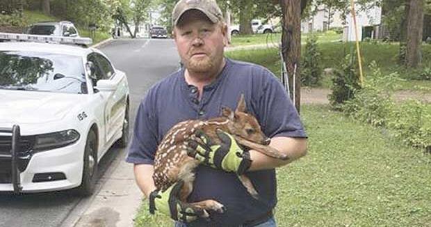 The ‘Joe Mauer of Mahtomedi’ marks 3 decades | News