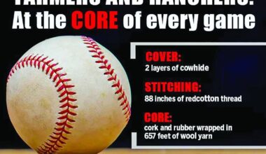 Texas ag makes baseball's pitches, swings possible s | Viewpoint