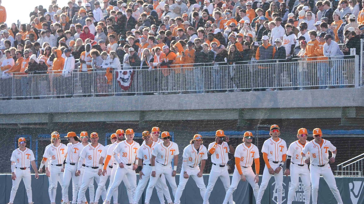Tennessee baseball coach options, portal process if Tony Vitello leaves