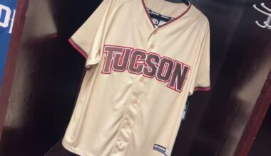 Tucson Baseball Team postpones season opener over immigration issues